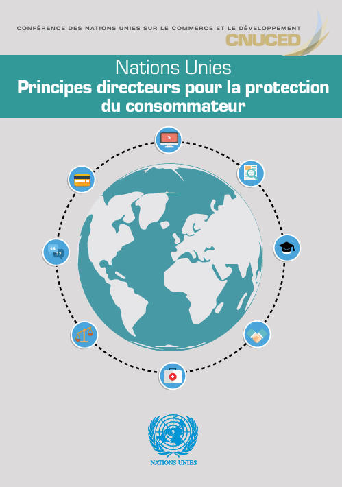 Principes directeurs ONU