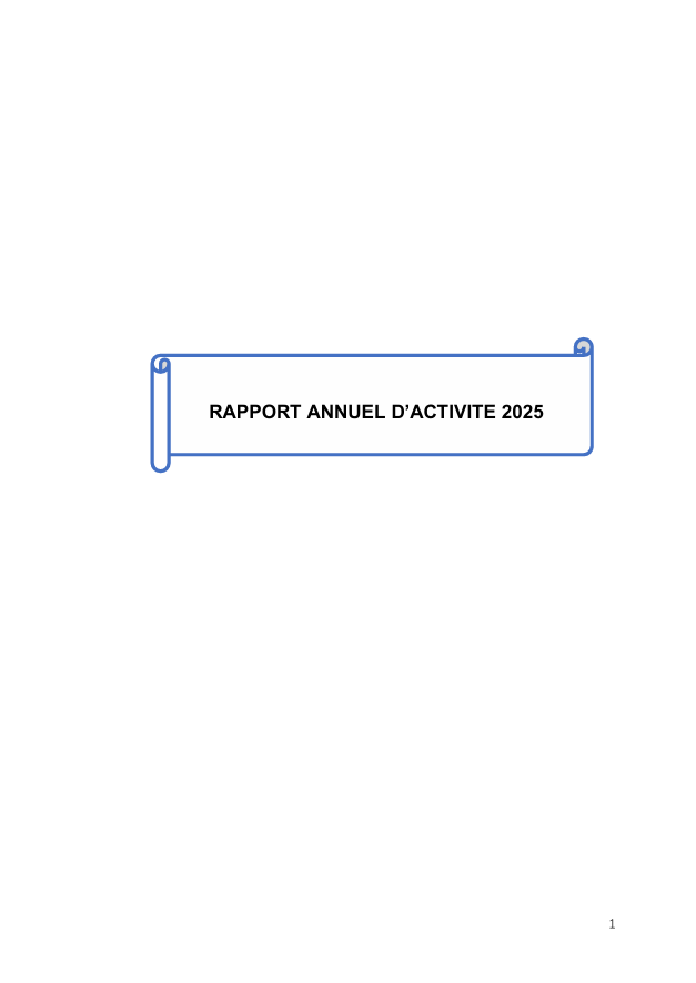 Rapport activité 2025 FR